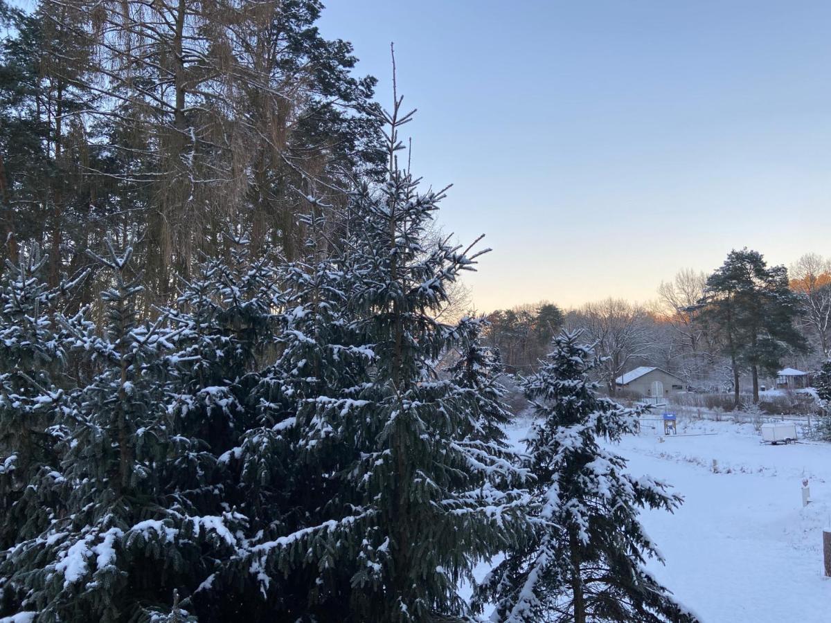 Waldwerk Wurlgrund Lychen Aparthotel Kültér fotó