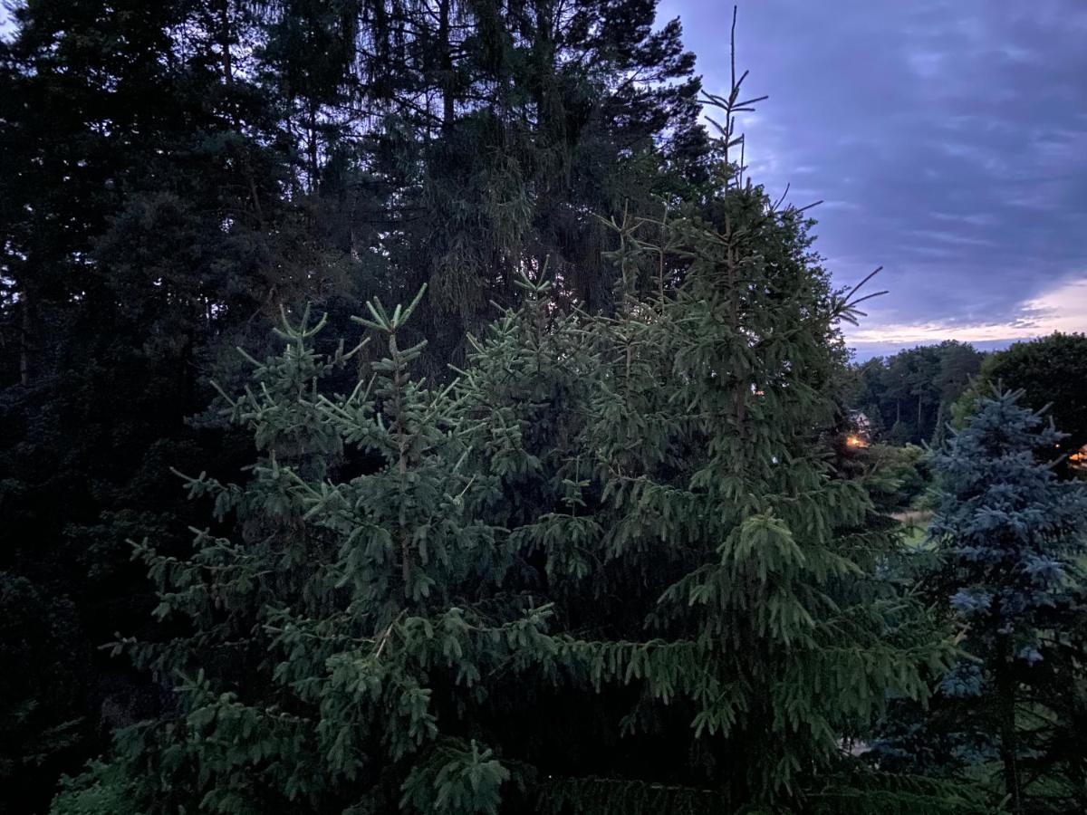 Waldwerk Wurlgrund Lychen Aparthotel Kültér fotó