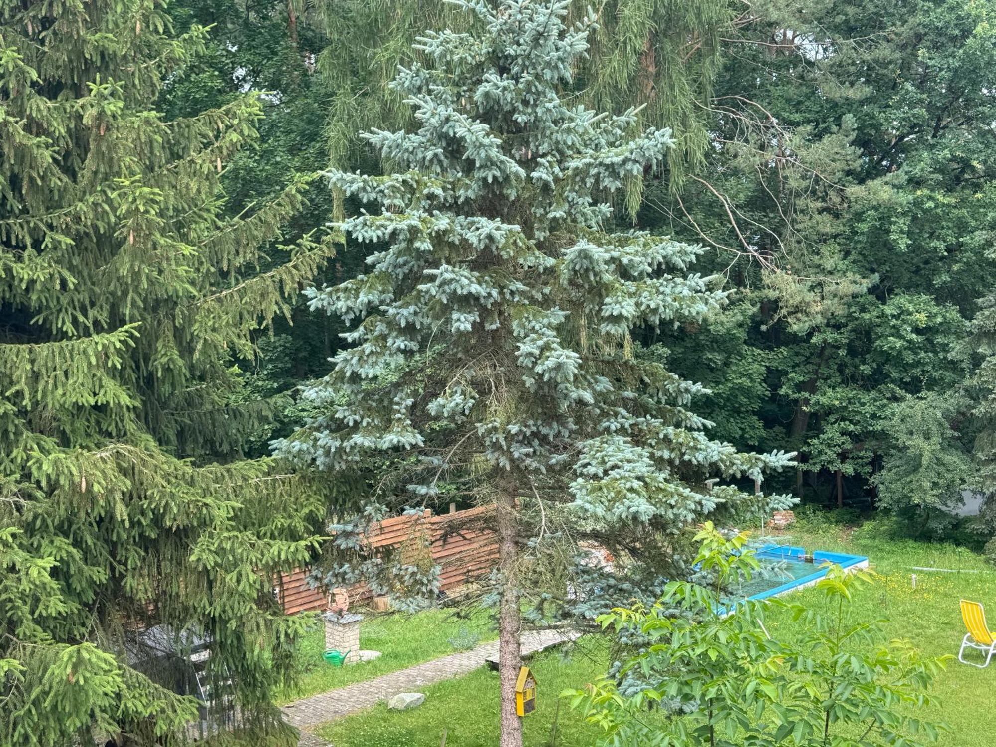 Waldwerk Wurlgrund Lychen Aparthotel Kültér fotó